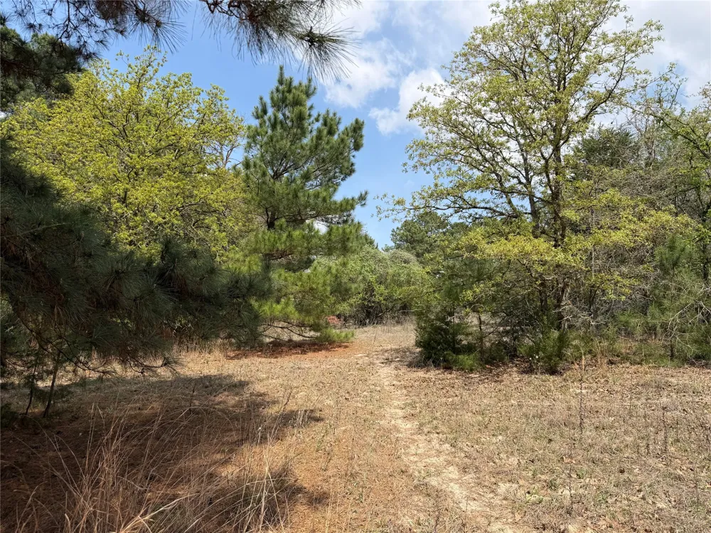 118 Edmonson Ranch Road McDade, TX 78650