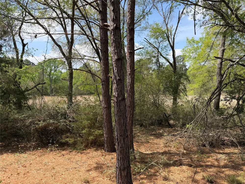 118 Edmonson Ranch Road McDade, TX 78650