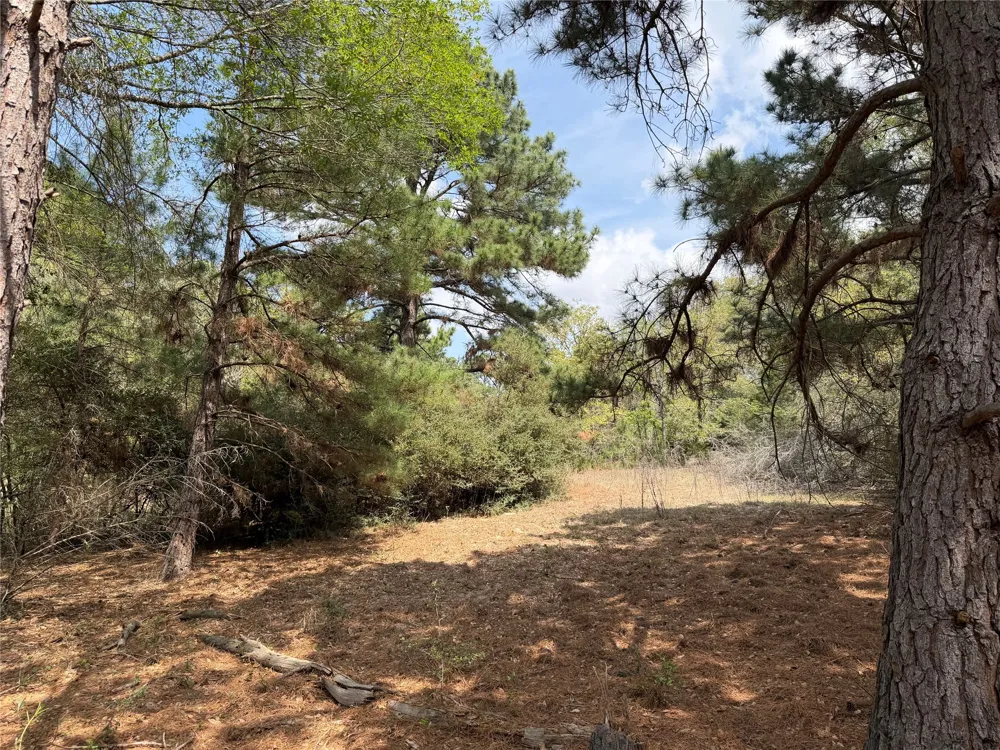 118 Edmonson Ranch Road McDade, TX 78650