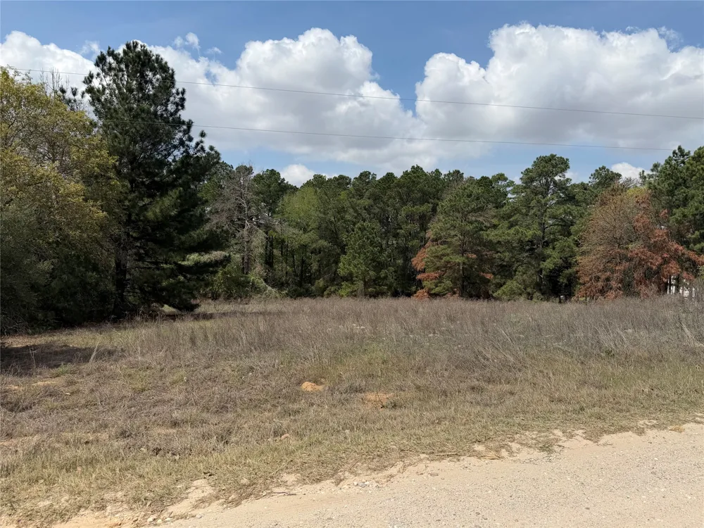 118 Edmonson Ranch Road McDade, TX 78650