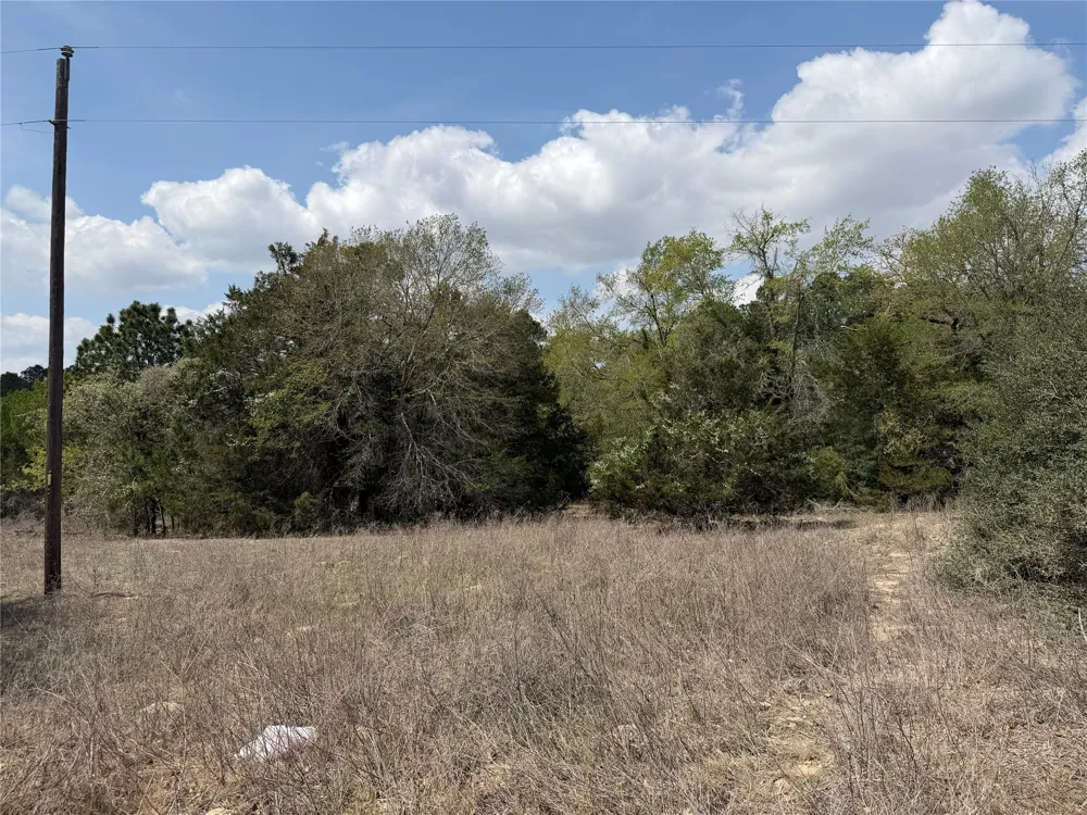 118 Edmonson Ranch Road McDade, TX 78650