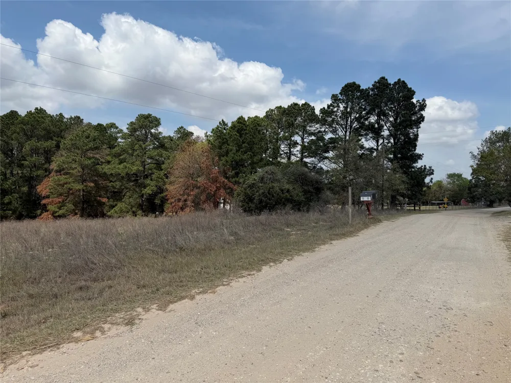 118 Edmonson Ranch Road McDade, TX 78650