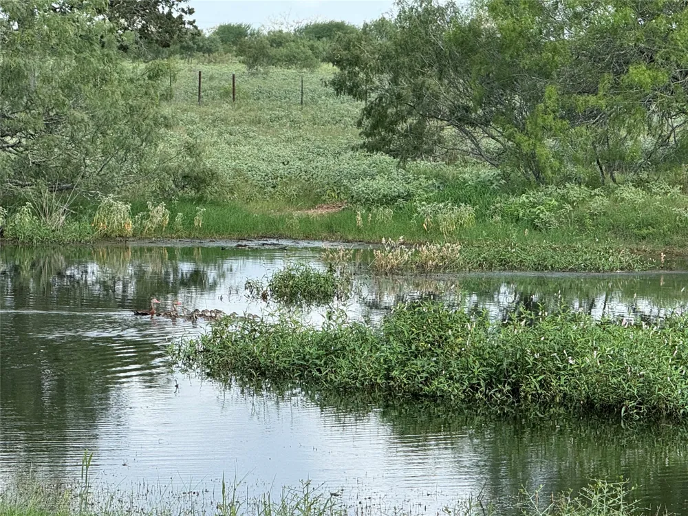 1 County Road 491 Gonzales, TX 78629