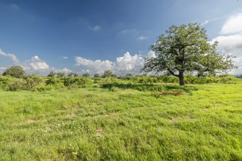 1 County Road 491