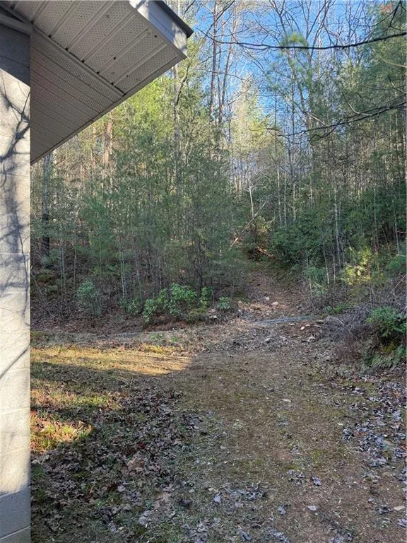 0 Blue Arrow Lane Mineral Bluff, GA 30559
