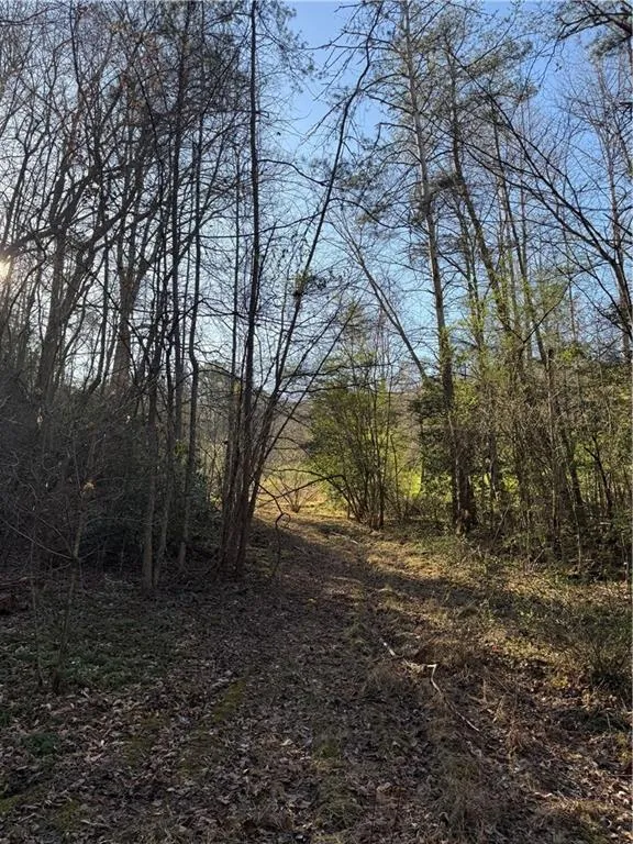 0 Blue Arrow Lane Mineral Bluff, GA 30559