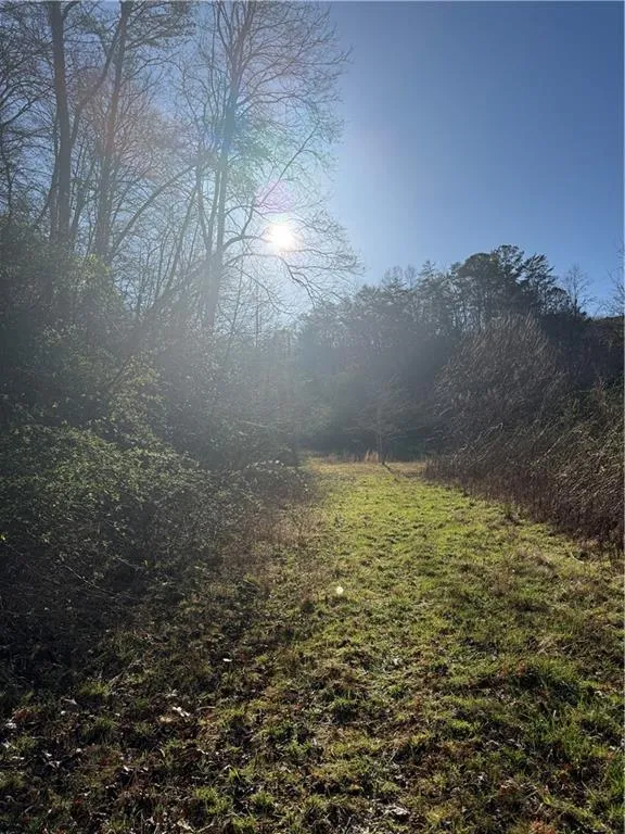 0 Blue Arrow Lane Mineral Bluff, GA 30559