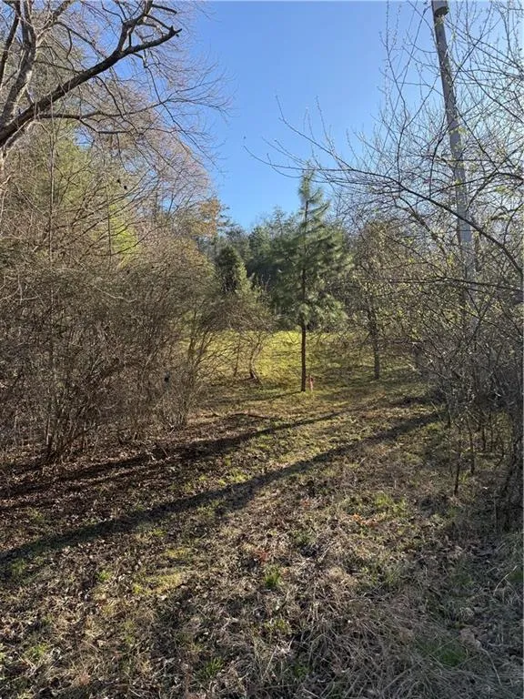 0 Blue Arrow Lane Mineral Bluff, GA 30559