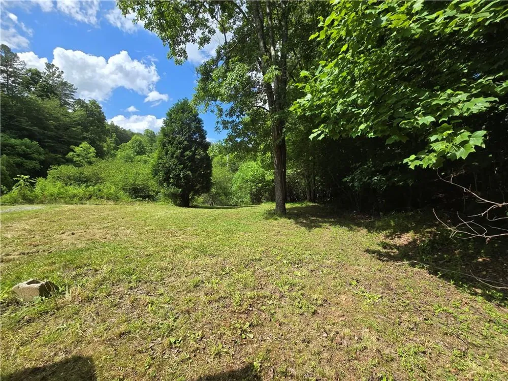 0 Blue Arrow Lane Mineral Bluff, GA 30559