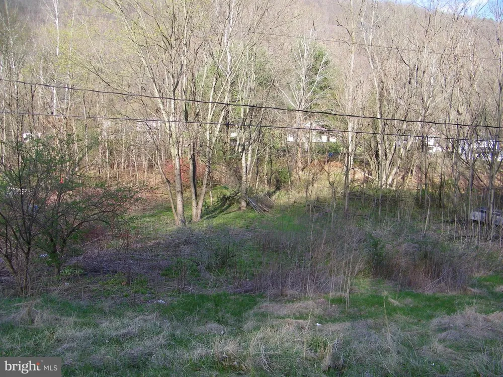 ROUTE 36 ROAD Westernport, MD 21562