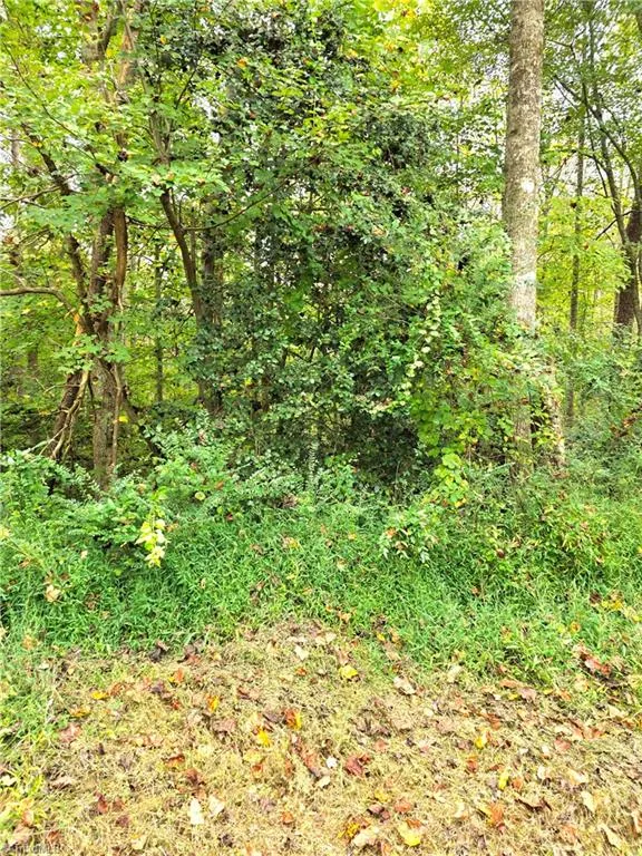 Lot 1 Holder Street Hays, NC 28635