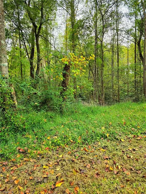 Lot 1 Holder Street Hays, NC 28635