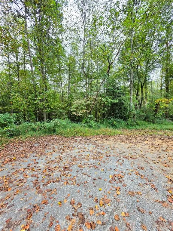 Lot 1 Holder Street Hays, NC 28635