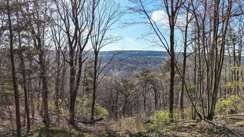 1350 Split Rail Way