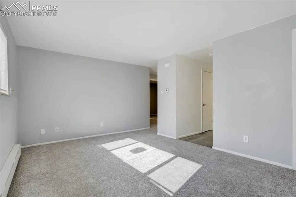 2921 Straus Lane Colorado Springs, CO 80907