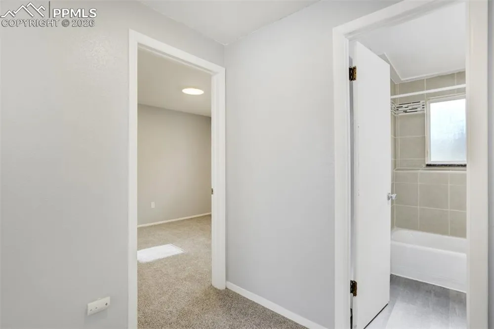 2921 Straus Lane Colorado Springs, CO 80907