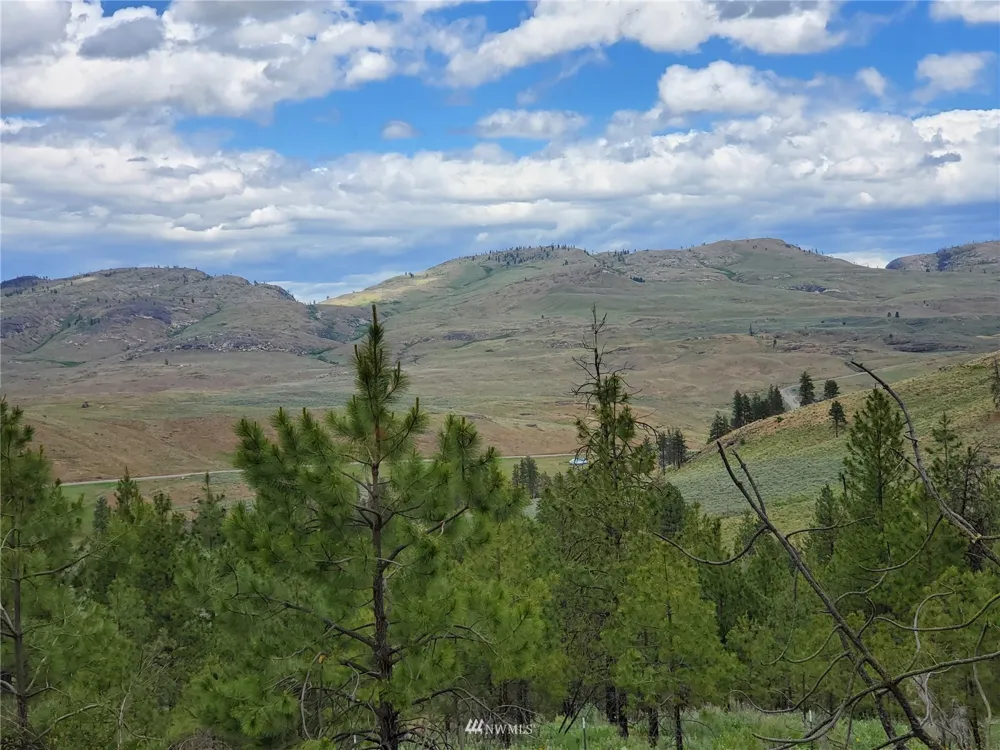 0 570X Tunk Creek Road Riverside, WA 98849