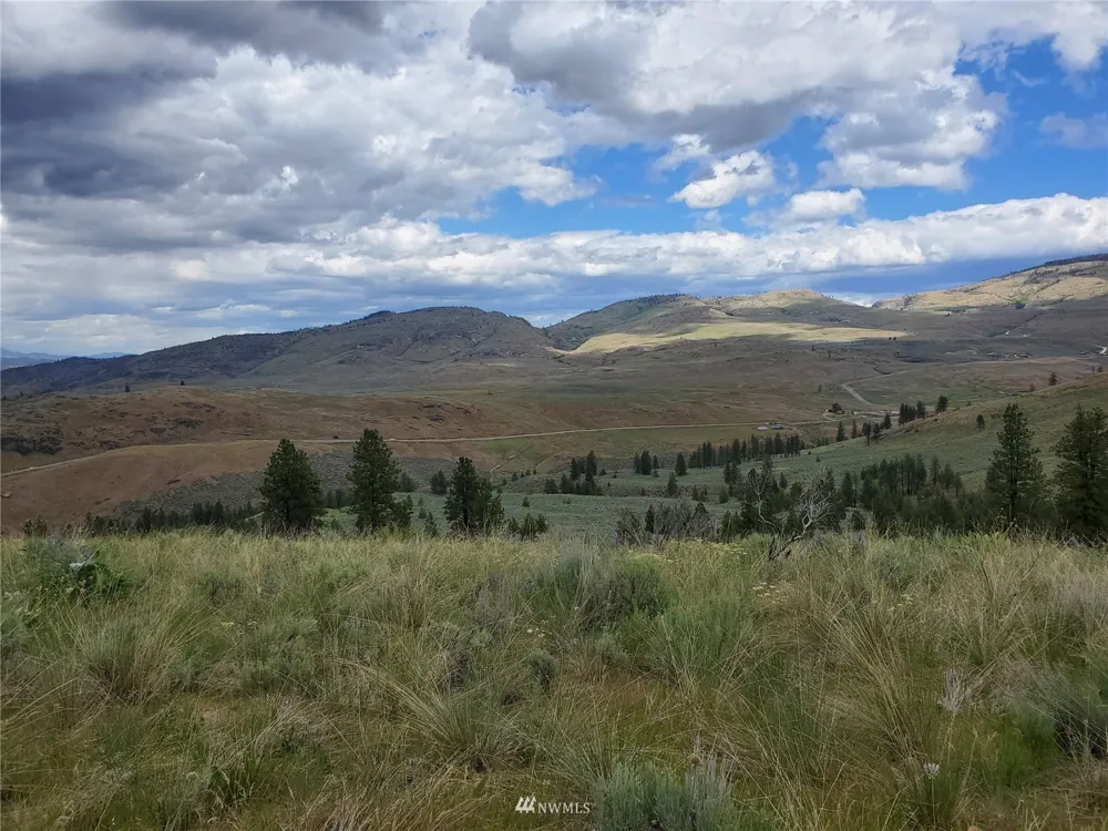 0 570X Tunk Creek Road Riverside, WA 98849