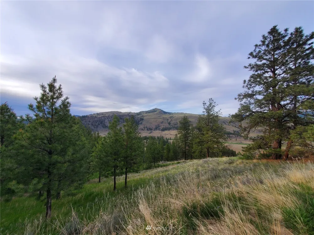 0 570X Tunk Creek Road Riverside, WA 98849