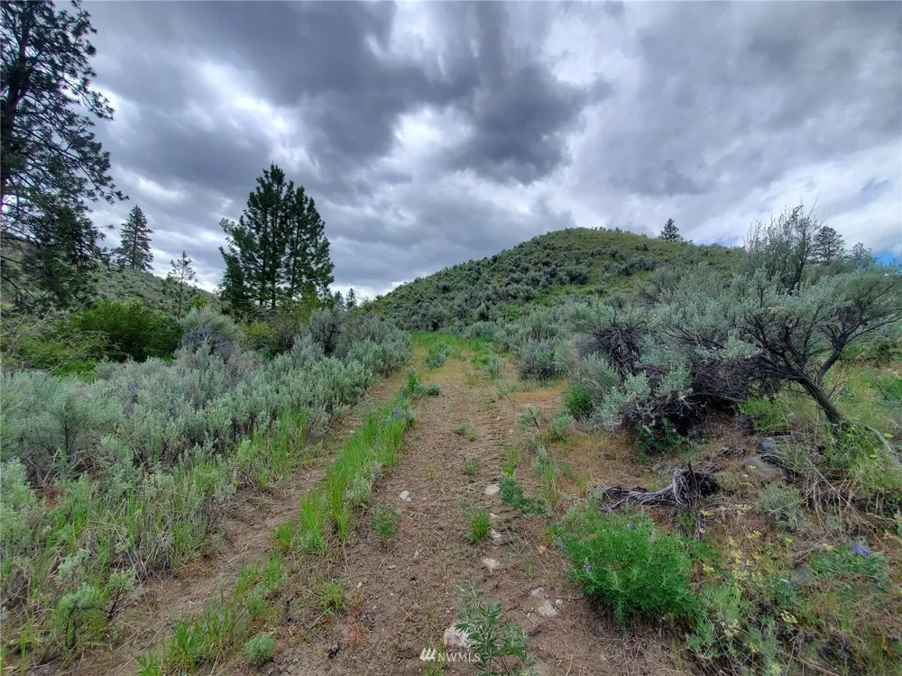 0 570X Tunk Creek Road Riverside, WA 98849