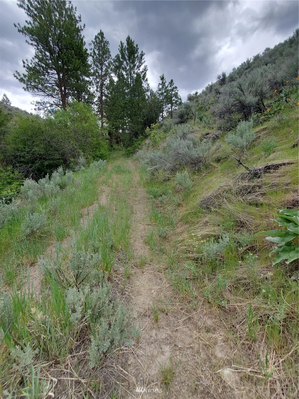 0 570X Tunk Creek Road Riverside, WA 98849