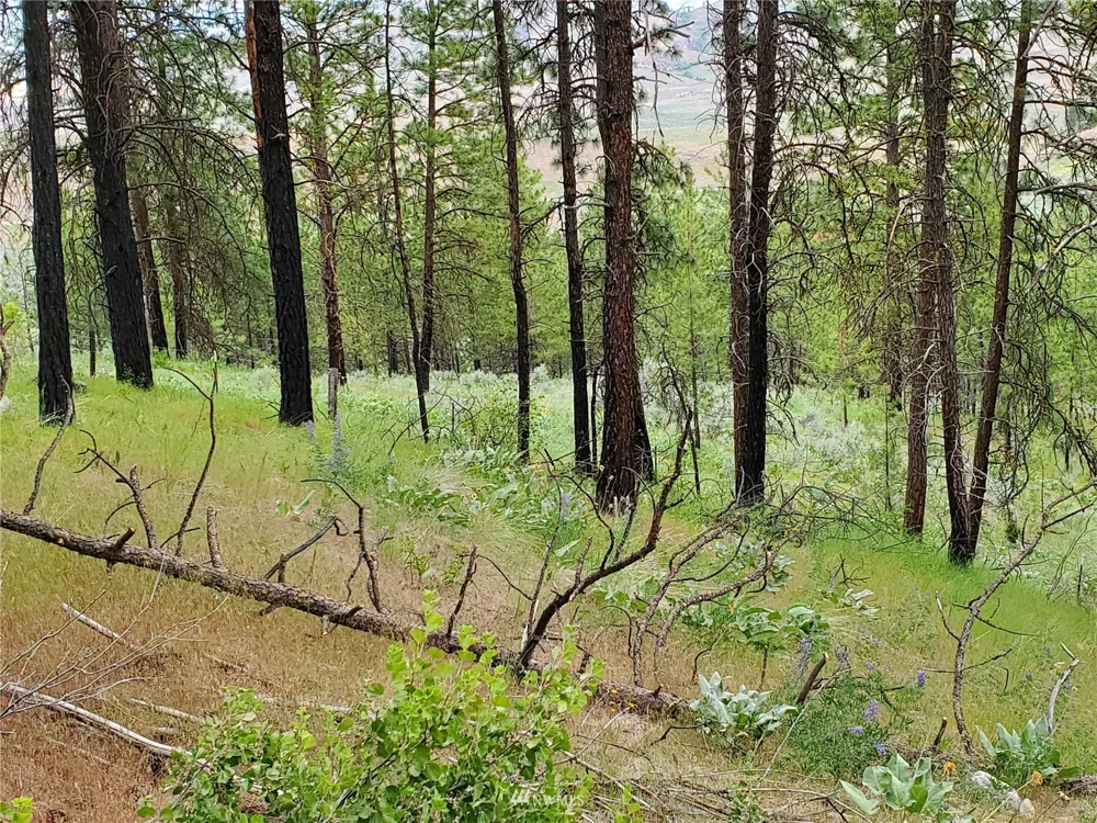 0 570X Tunk Creek Road Riverside, WA 98849