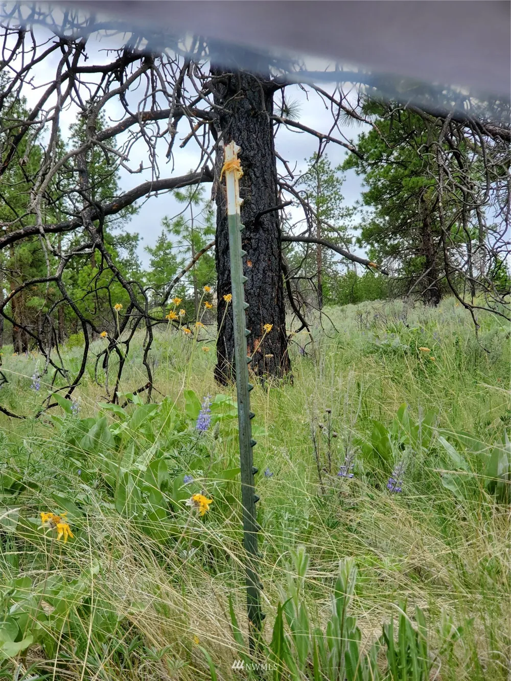 0 570X Tunk Creek Road Riverside, WA 98849