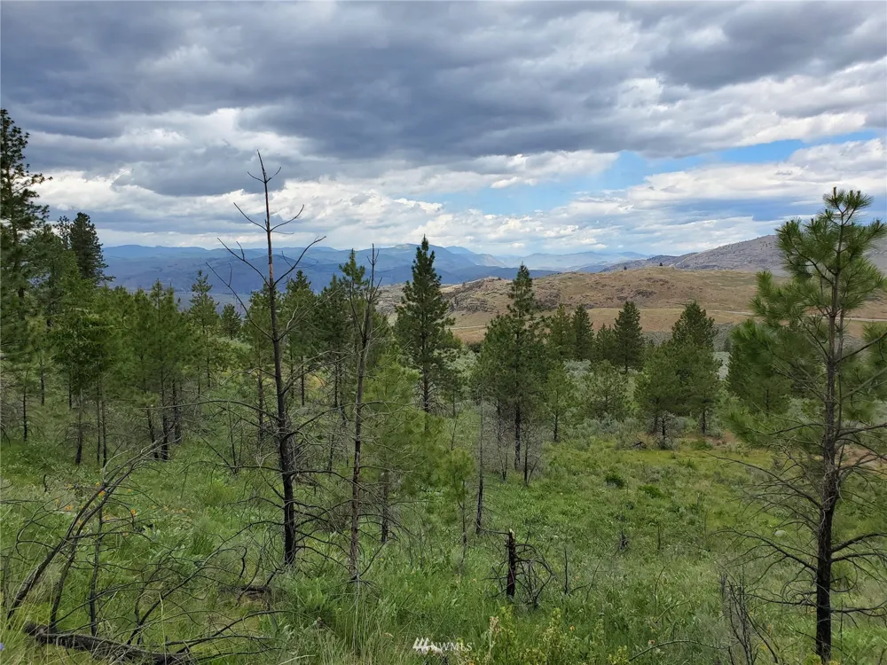 0 570X Tunk Creek Road Riverside, WA 98849
