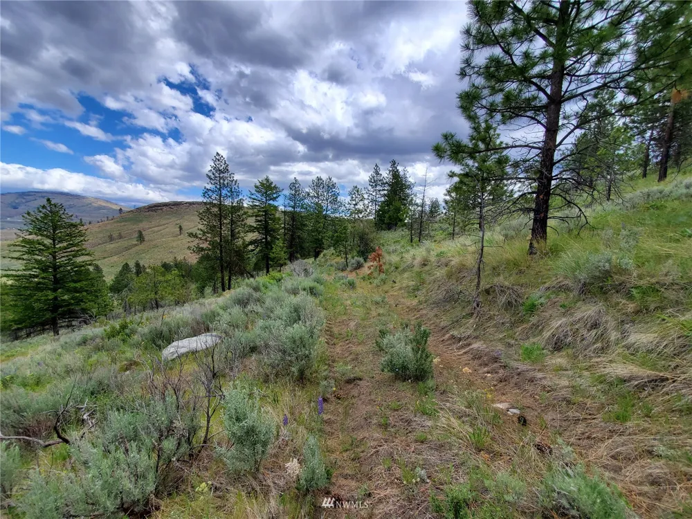 0 570X Tunk Creek Road Riverside, WA 98849