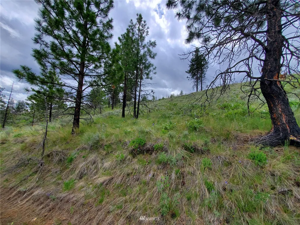 0 570X Tunk Creek Road Riverside, WA 98849