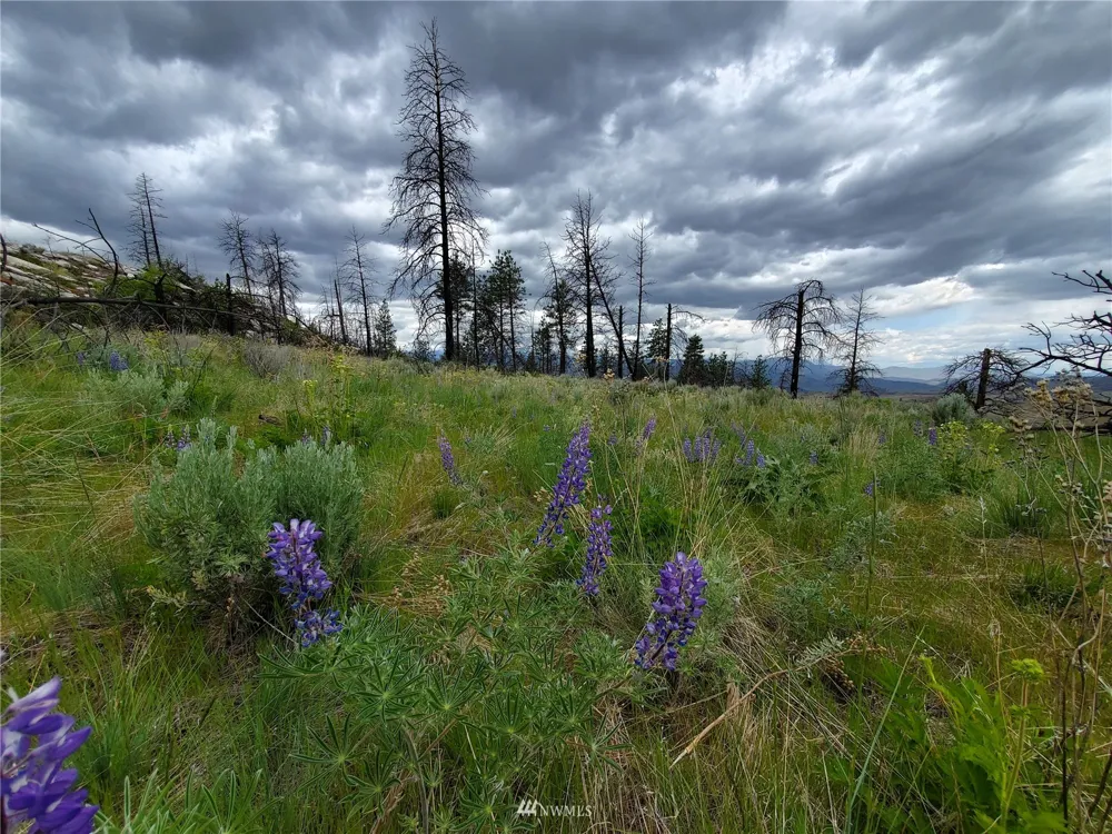 0 570X Tunk Creek Road Riverside, WA 98849