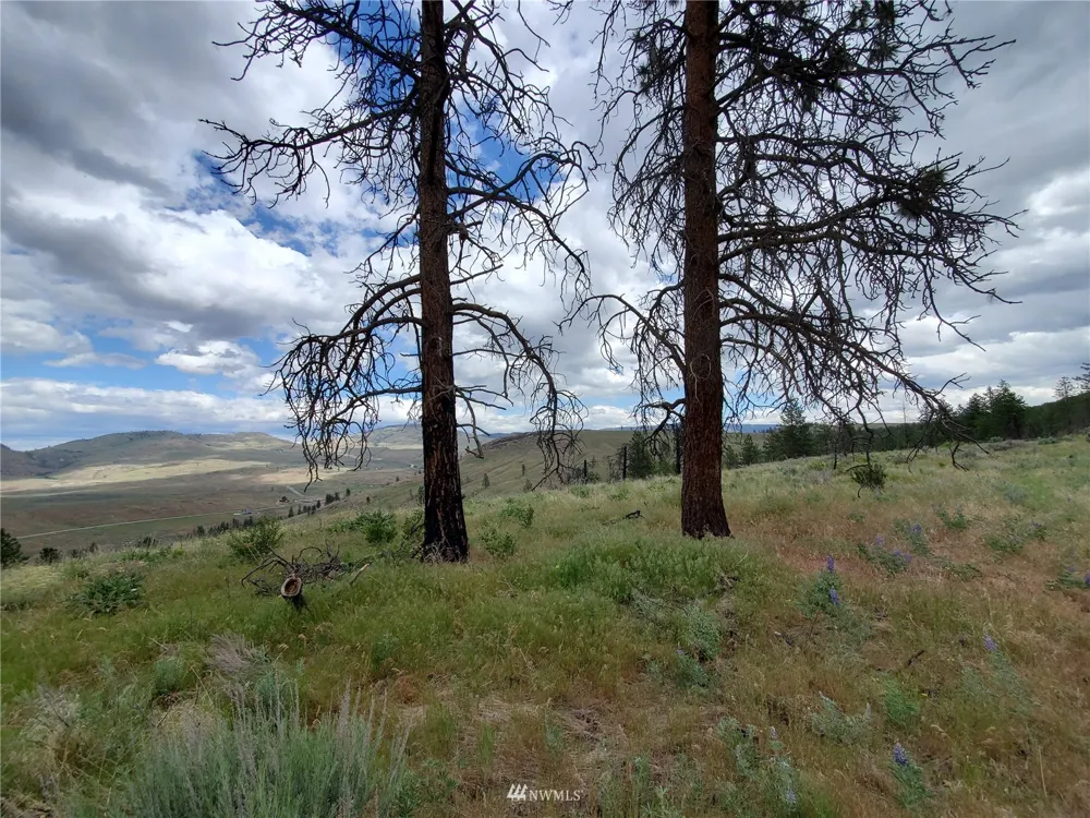 0 570X Tunk Creek Road Riverside, WA 98849