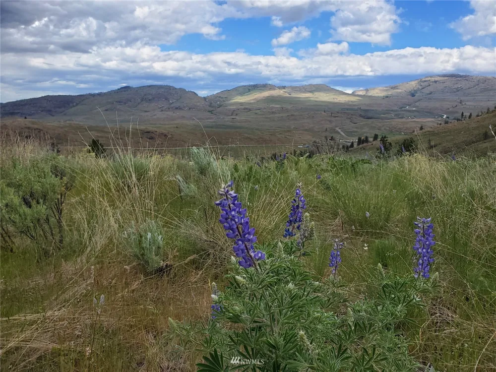0 570X Tunk Creek Road Riverside, WA 98849