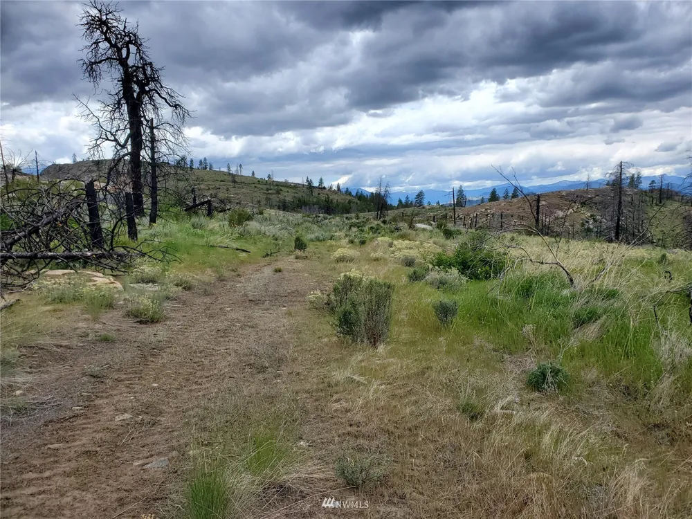 0 570X Tunk Creek Road Riverside, WA 98849