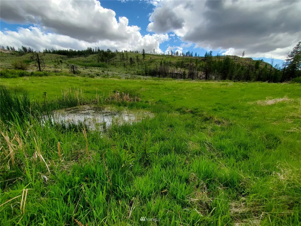 0 570X Tunk Creek Road Riverside, WA 98849