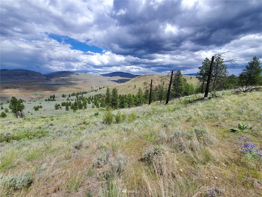 0 570X Tunk Creek Road Riverside, WA 98849