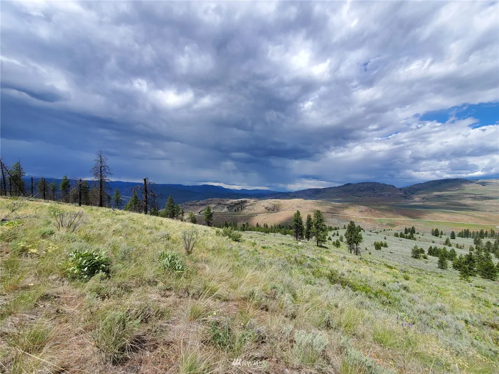 0 570X Tunk Creek Road Riverside, WA 98849