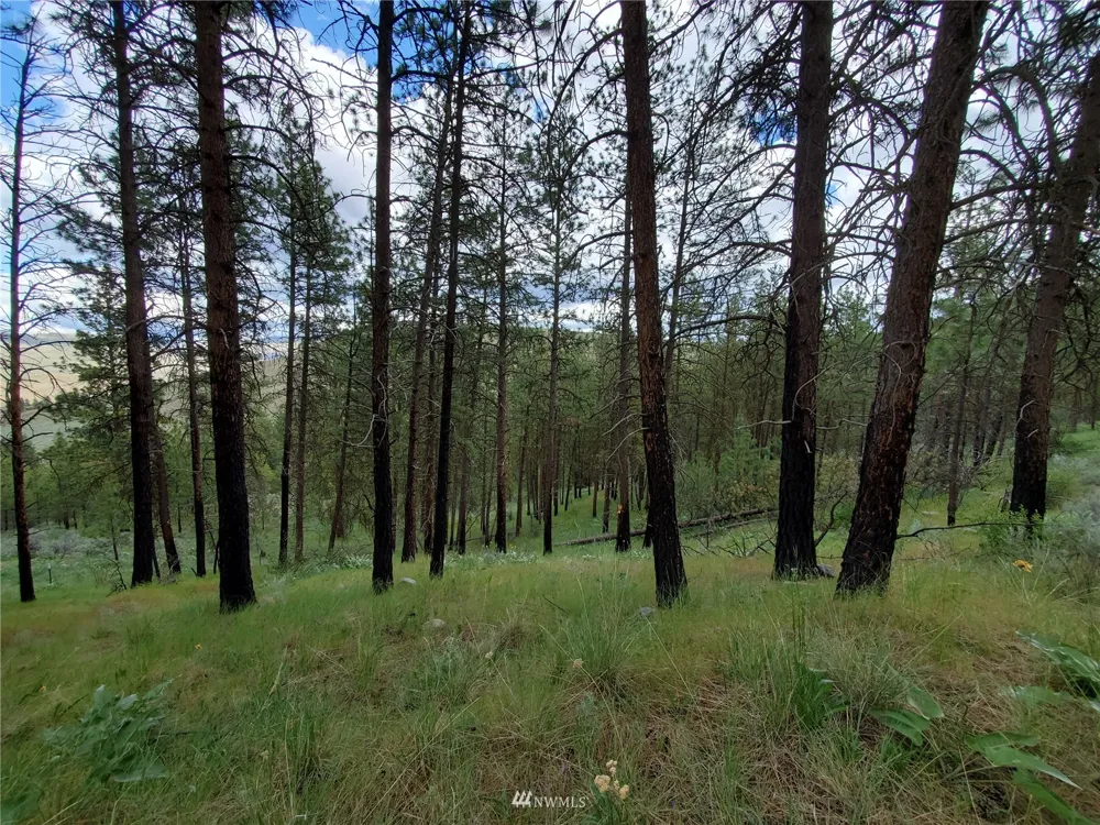0 570X Tunk Creek Road Riverside, WA 98849