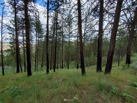 0 570X Tunk Creek Road