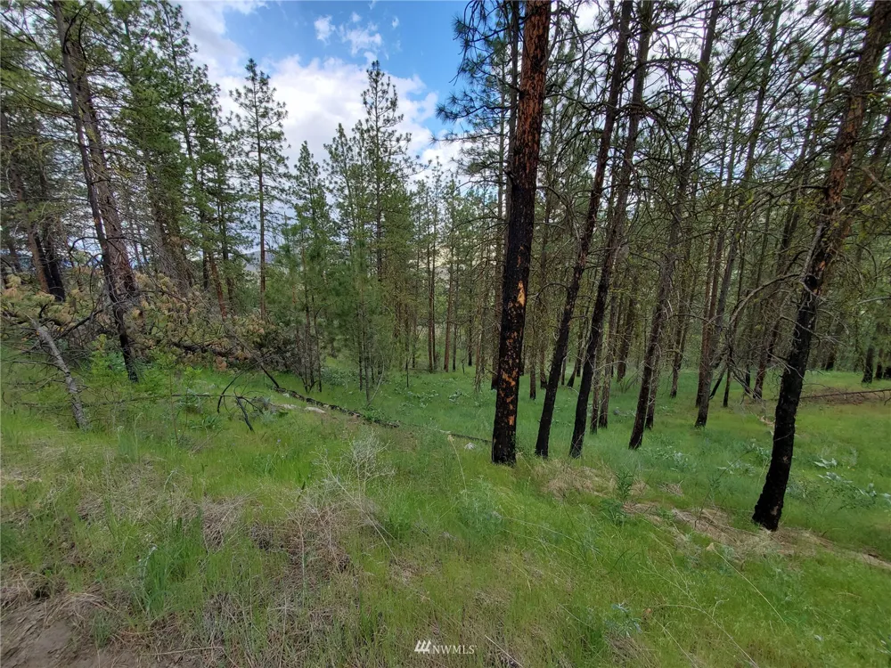 0 570X Tunk Creek Road Riverside, WA 98849