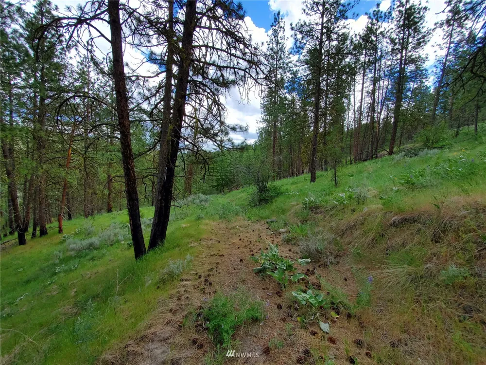 0 570X Tunk Creek Road Riverside, WA 98849