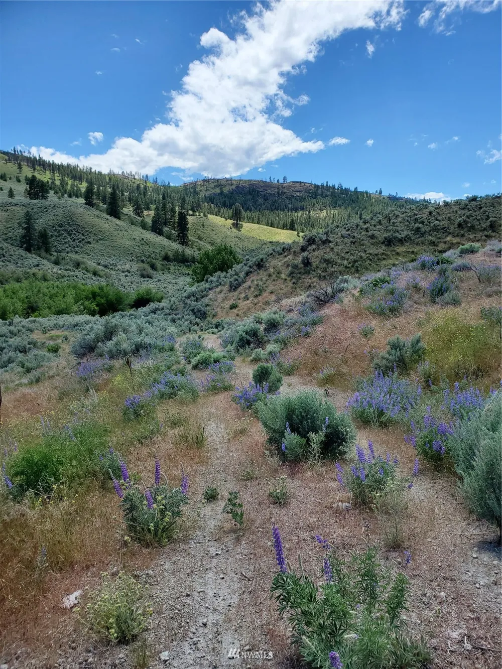 0 570X Tunk Creek Road Riverside, WA 98849