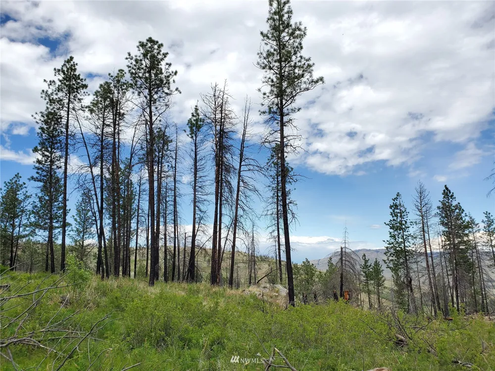 0 570X Tunk Creek Road Riverside, WA 98849