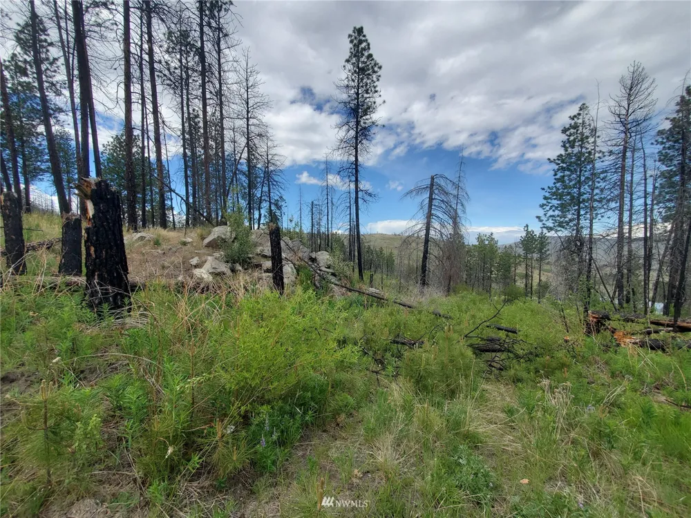 0 570X Tunk Creek Road Riverside, WA 98849