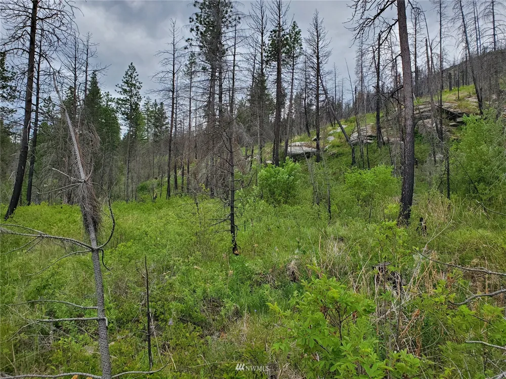 0 570X Tunk Creek Road Riverside, WA 98849