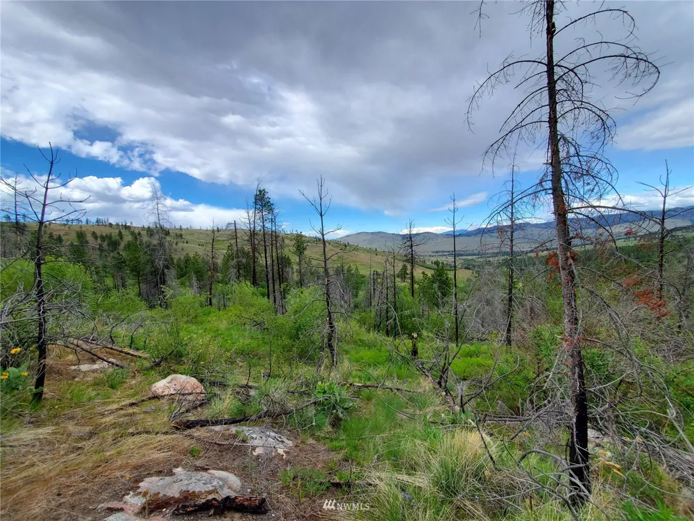 0 570X Tunk Creek Road Riverside, WA 98849