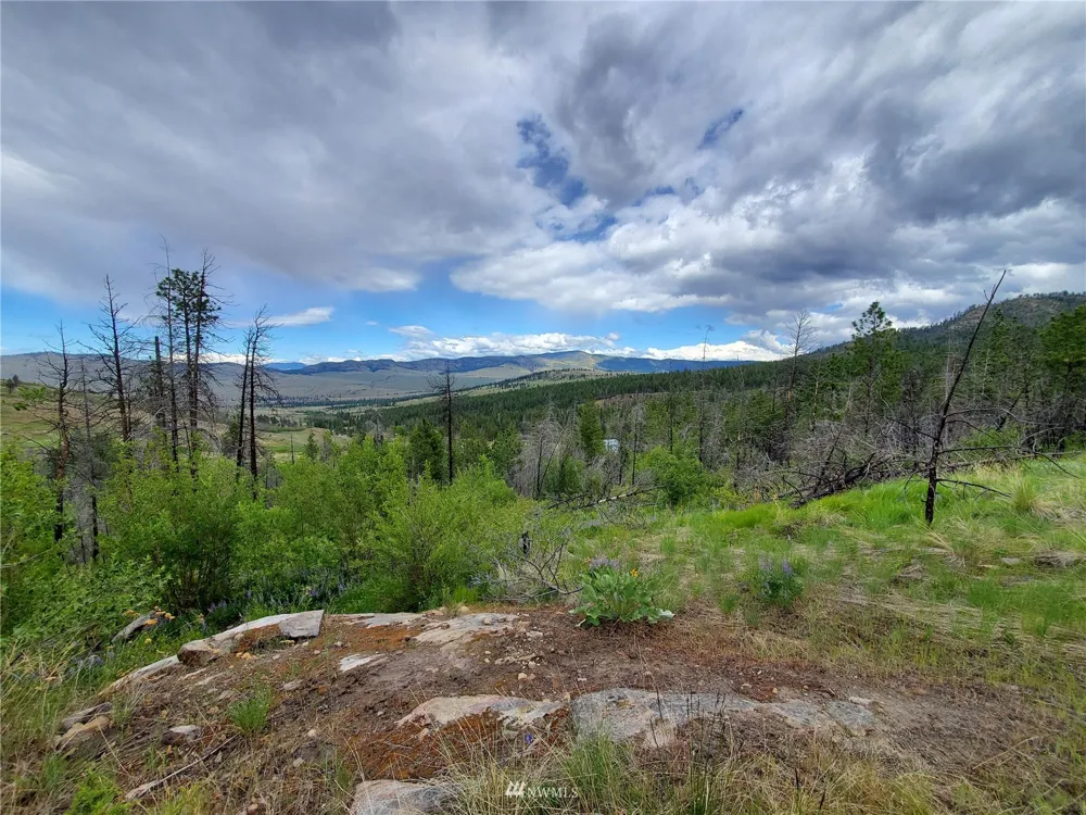 0 960X Knox Road Riverside, WA 98849
