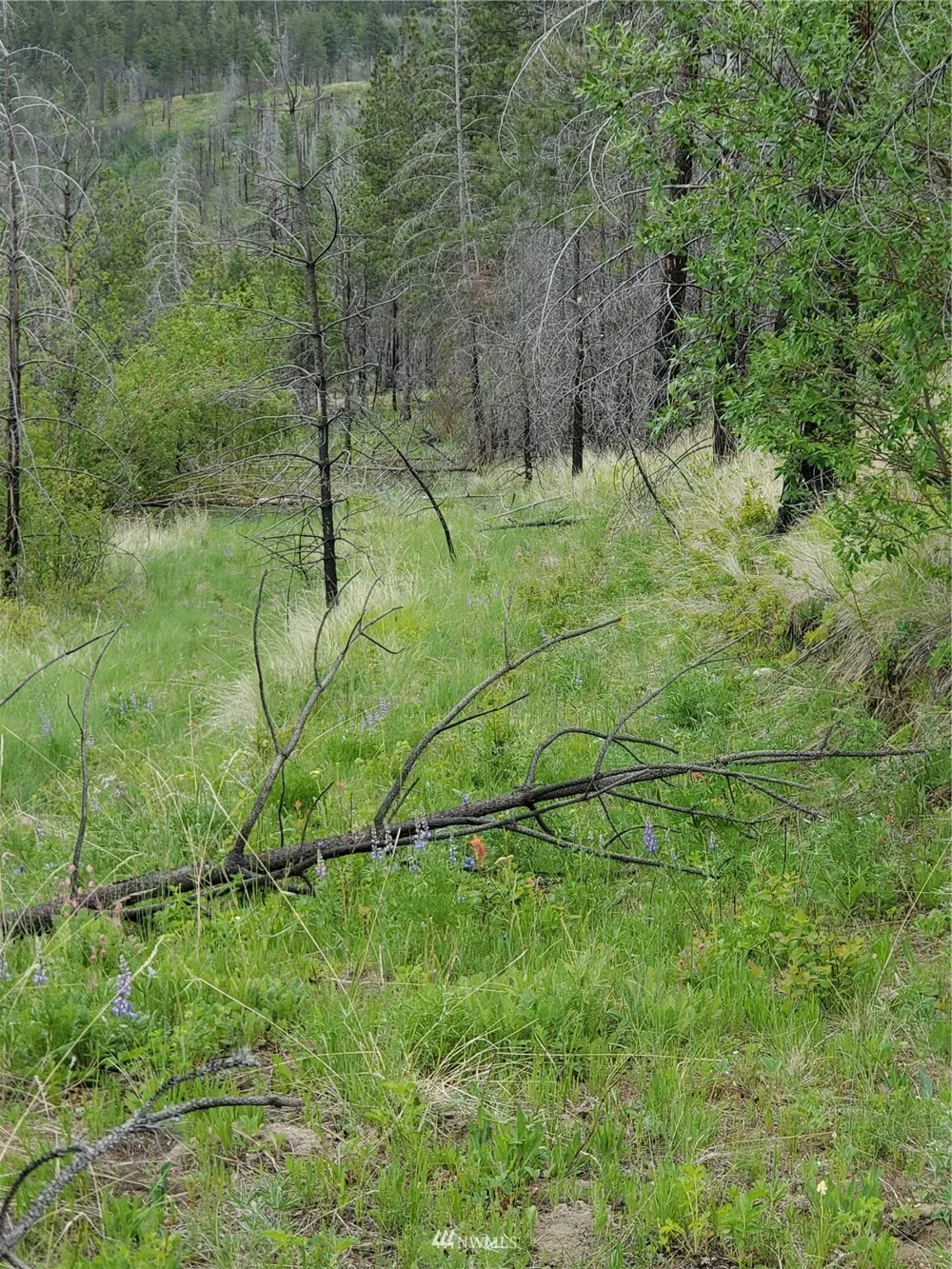 0 960X Knox Road Riverside, WA 98849