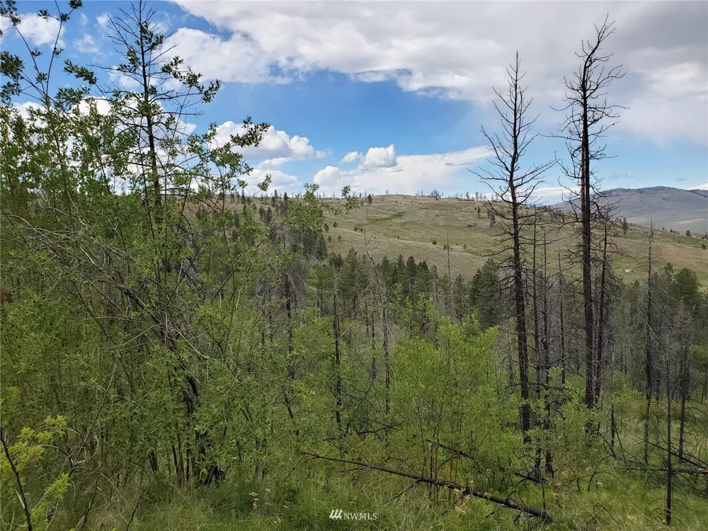 0 960X Knox Road Riverside, WA 98849