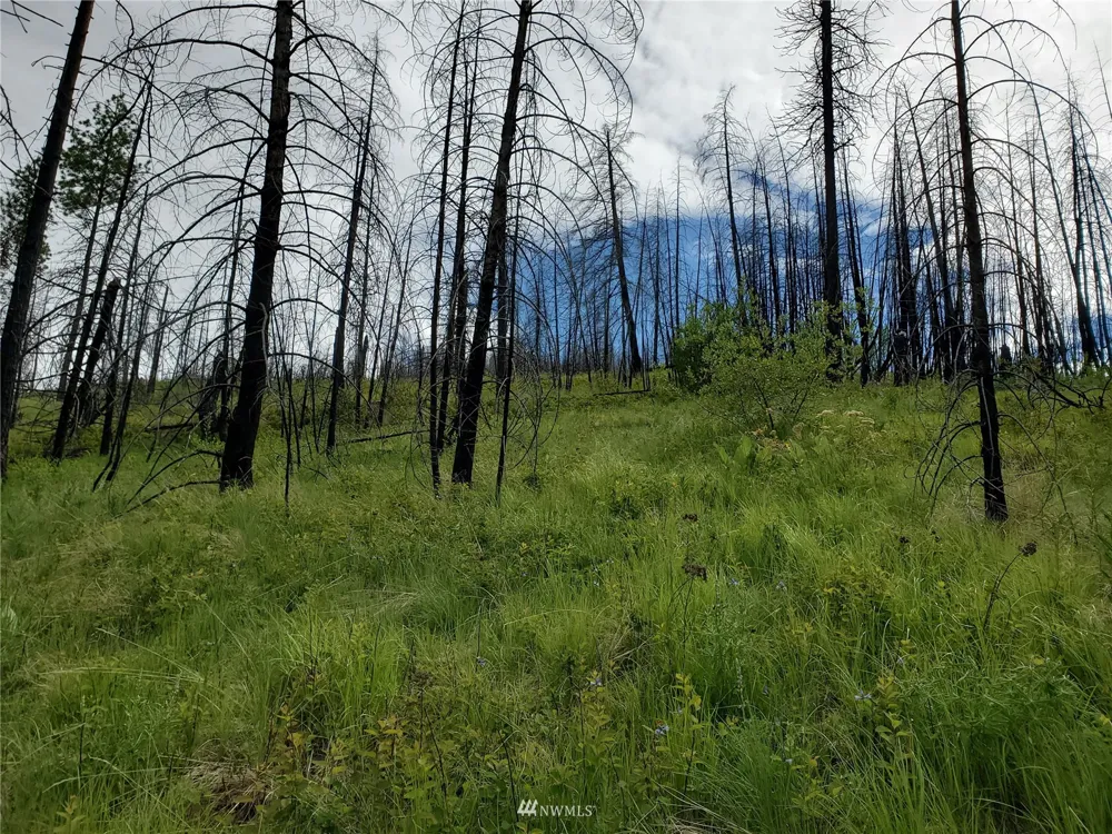 0 960X Knox Road Riverside, WA 98849